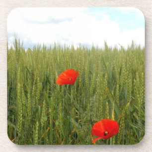 Poppies in a Wheat Field Hard Plastic Coaster