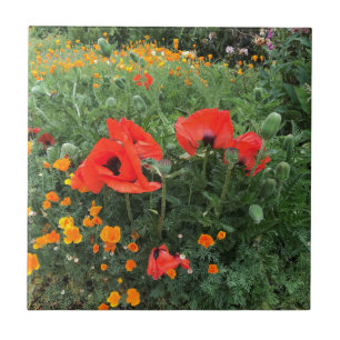 Poppies in an English Garden Ceramic Tile