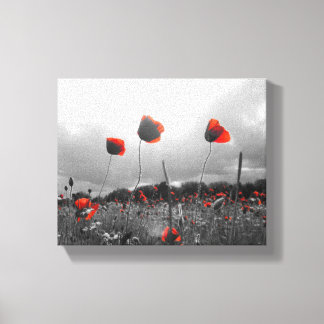 Poppies in Black,White and Red Canvas Print