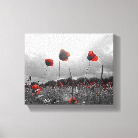 Poppies In Black,white And Red Canvas Print