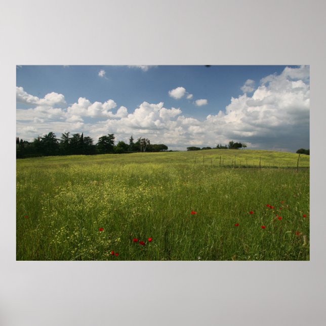 Poppies in Fields Poster (Front)