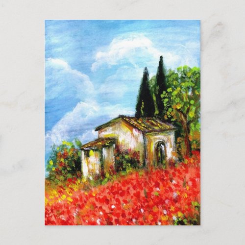 POPPIES IN TUSCANY LANDSCAPE Red Flower Fields Postcard