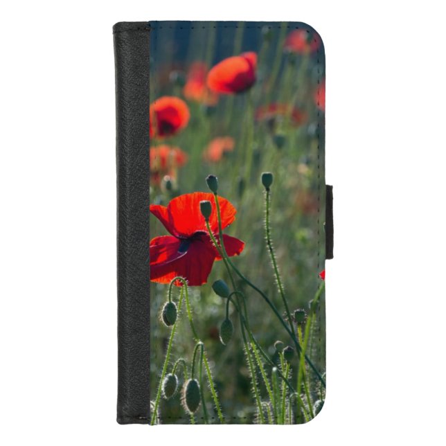 Poppies iPhone Wallet Case (Front)