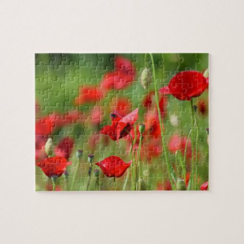 Poppies Jigsaw Puzzle