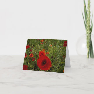 Poppies Letterpress Thank You Card