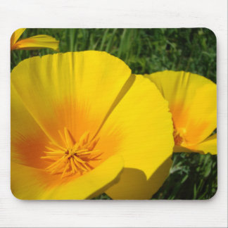 POPPIES MOUSE PADS Poppy Flowers MOUSEPAD