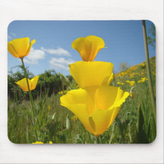 POPPIES MOUSE PADS Poppy Flowers MOUSEPAD