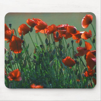 Poppies no. 3 | Mousepad