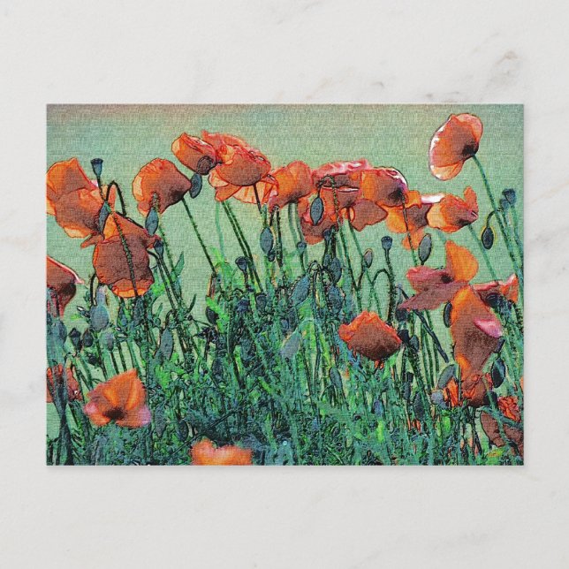 Poppies No. 4 | Postcard (Front)