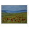 Poppies on the Coast
