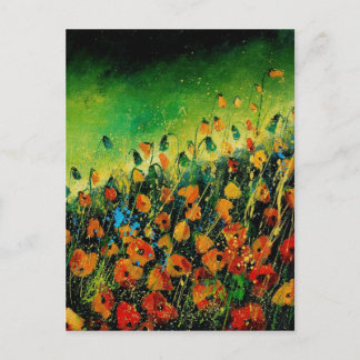 poppies orange 459080 postcard