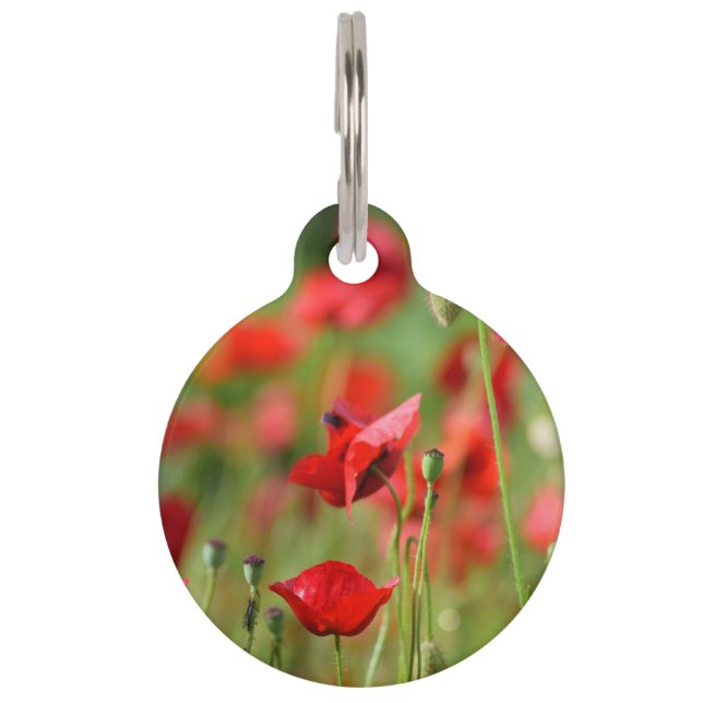 Poppies Pet Name Tag (Front)