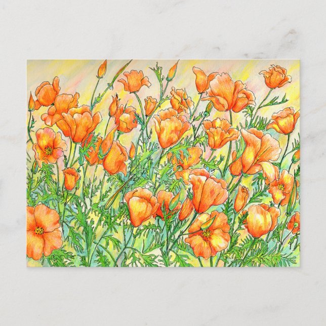 Poppies Postcard (Front)