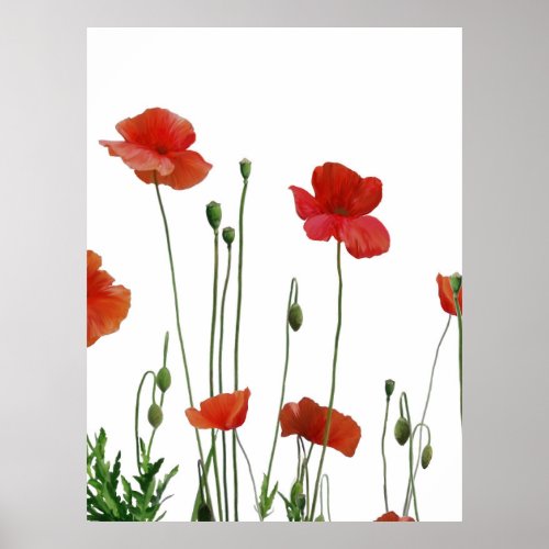 Poppies Poster