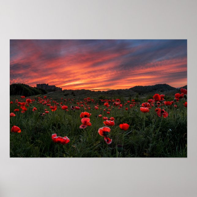 Poppies Poster/Print Poster (Front)