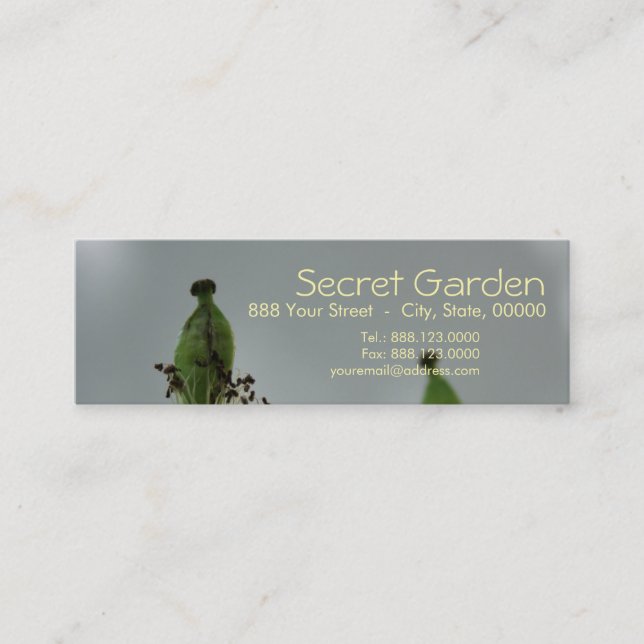 Poppies & shade (5) mini business card (Front)