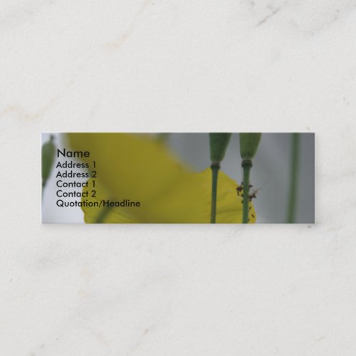 Poppies  shade 8 mini business card