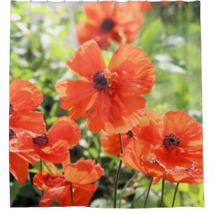 Poppies Shower Curtain