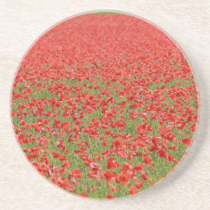 Poppies - thousands! drink coaster