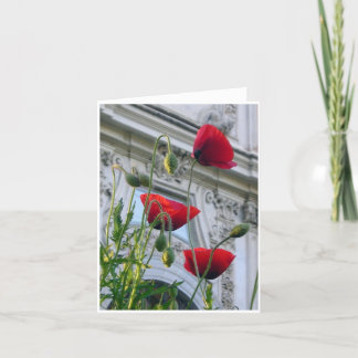 Poppies, Villa Borghese, Rome Card