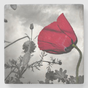 Poppies Vine Faith Hope Love Blessing Destiny Stone Coaster
