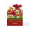 Poppies with Lorikeet Parrot and Name Birthday