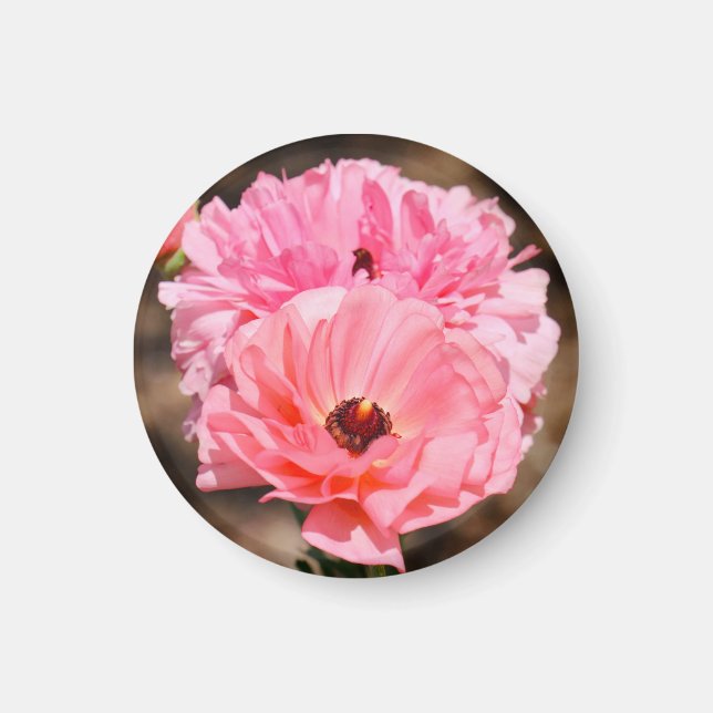 Popping in Pink  Magnet (Front)