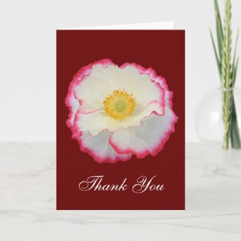 Poppy 105 ~ Card by Andy2302 at Zazzle