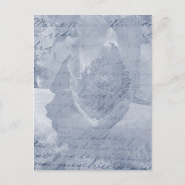 Poppy 2 postcard (Front)