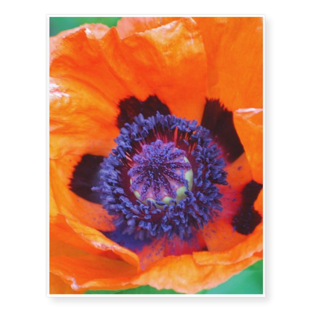 poppy-34 temporary tattoos (Front)