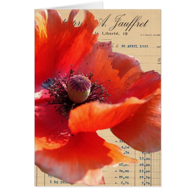 Poppy and Ephemera Digital Art Cards (Front)