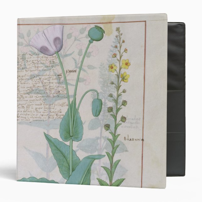 Poppy and Figwort 3 Ring Binder (Front/Inside)