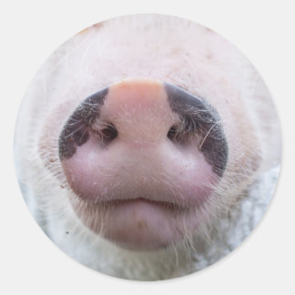 Poppy and Podrick Sticker