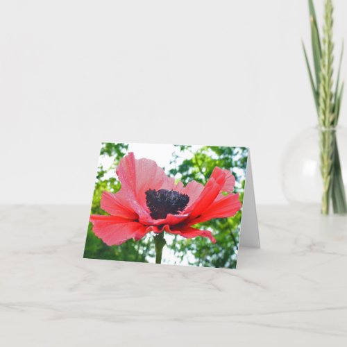 Poppy Blank Notecard