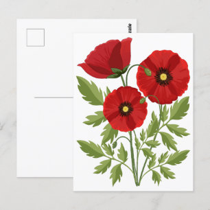 Poppy blooming joyful Summer Flowers Postcard