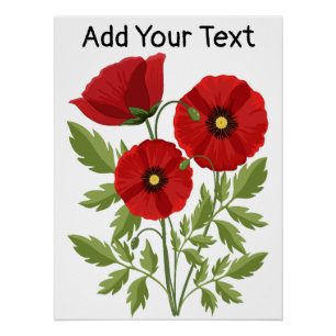 Poppy blooming joyful Summer Flowers Poster