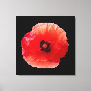 Poppy blossom canvas print