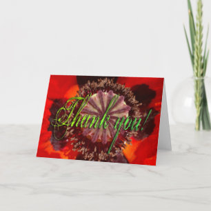 Poppy Blossom - Thank You