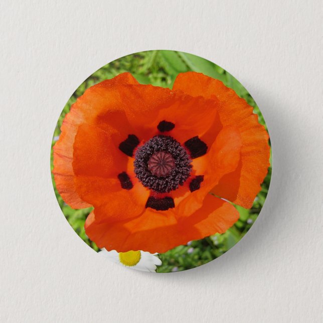 Poppy Button (Front)