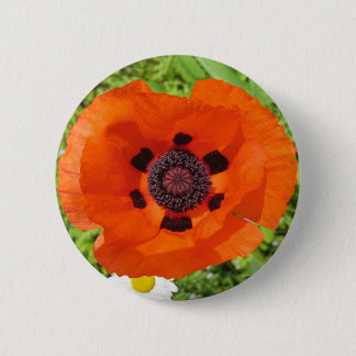 Poppy Button