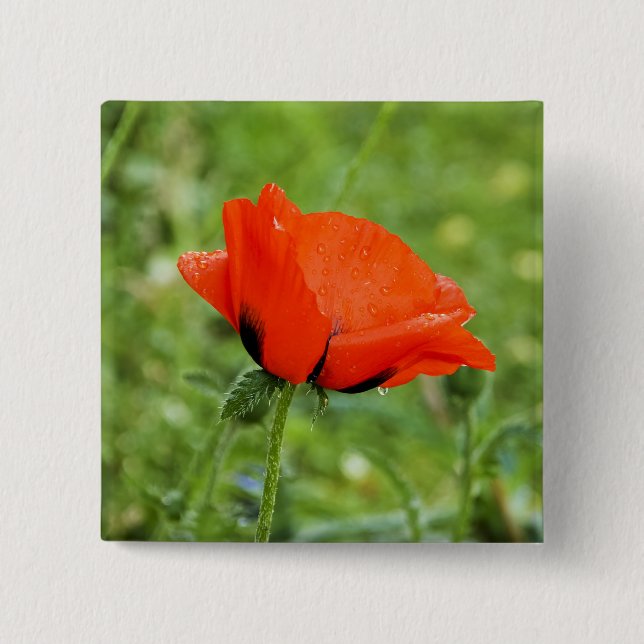 Poppy Button (Front)