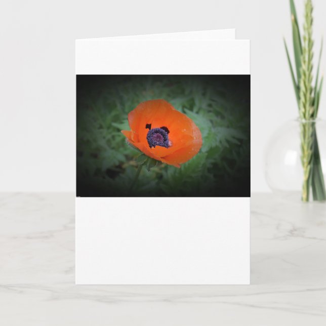 Poppy, card (Front)