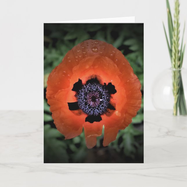 Poppy, card (Front)