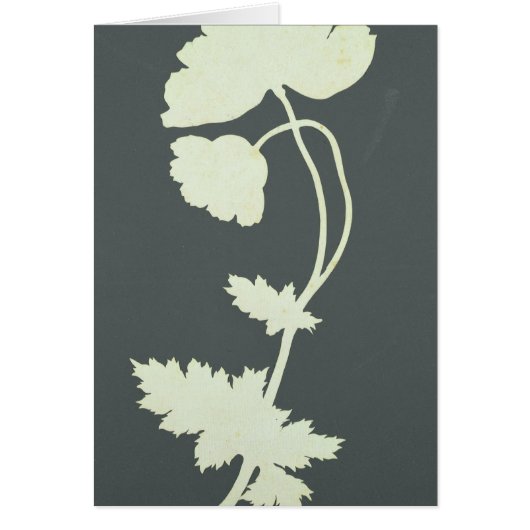 Poppy Cards (Front)