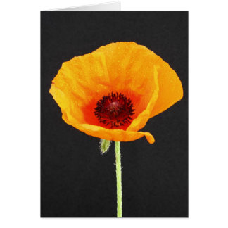 Poppy Cards