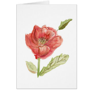 Poppy Cards