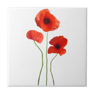 poppy ceramic tile