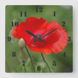 Poppy Clock