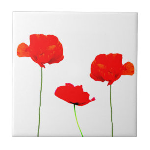 POPPY Collection 05 Tile