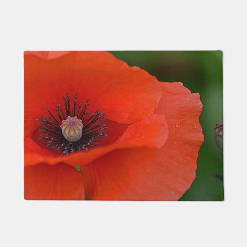 Poppy Door Mat